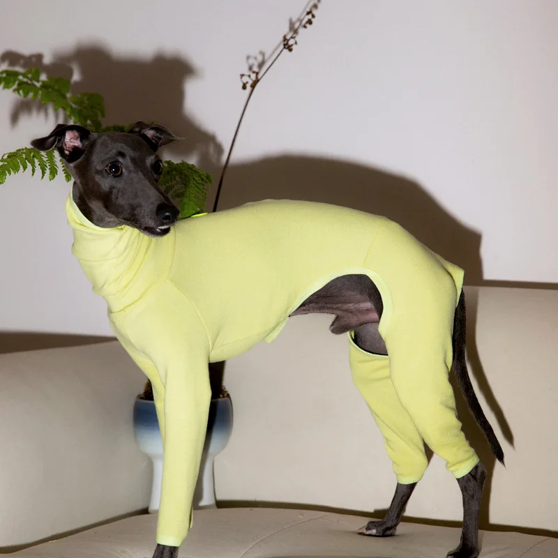 Italian Greyhound Clothes Four-legged Winter Dog Pajama Warm Whippet Clothing Dog Jumpsuit Cotton Soft Greyhounds Clothes
Italian Greyhound Clothes Four-legged Winter Dog Pajama Warm Whippet Clothing Dog Jumpsuit Cotton Soft Greyhounds Clothes