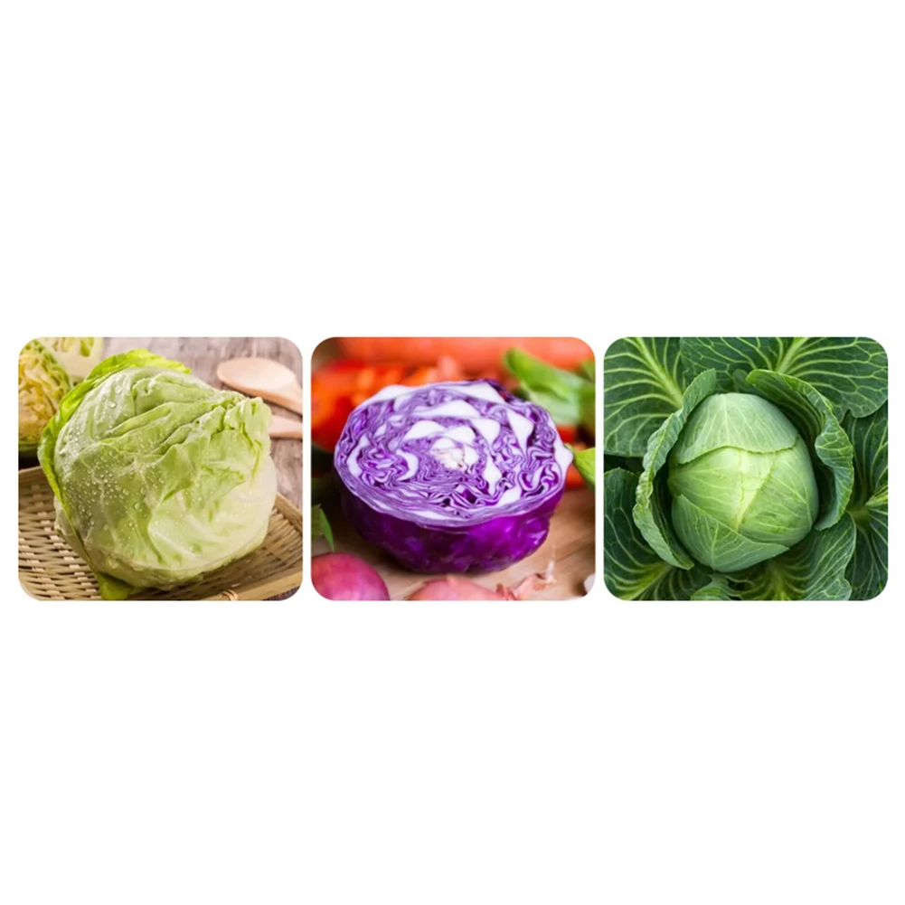 1PC 29.8X9cm Stainless Steel+plastic Household Cabbage Hand Slicer Shredder Vegetable Kitchen Manual Cutter Tools 2023 New
1PC 29.8X9cm Stainless Steel+plastic Household Cabbage Hand Slicer Shredder Vegetable Kitchen Manual Cutter Tools 2023 New