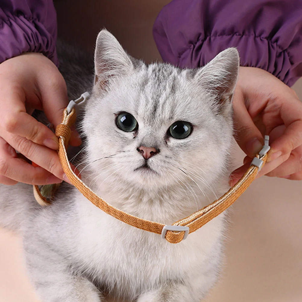 Belt Belt Adjustable Belt For Pet Belt Harness Kit Kitten Vest Hamster Cat Polyester
Belt Belt Adjustable Belt For Pet Belt Harness Kit Kitten Vest Hamster Cat Polyester