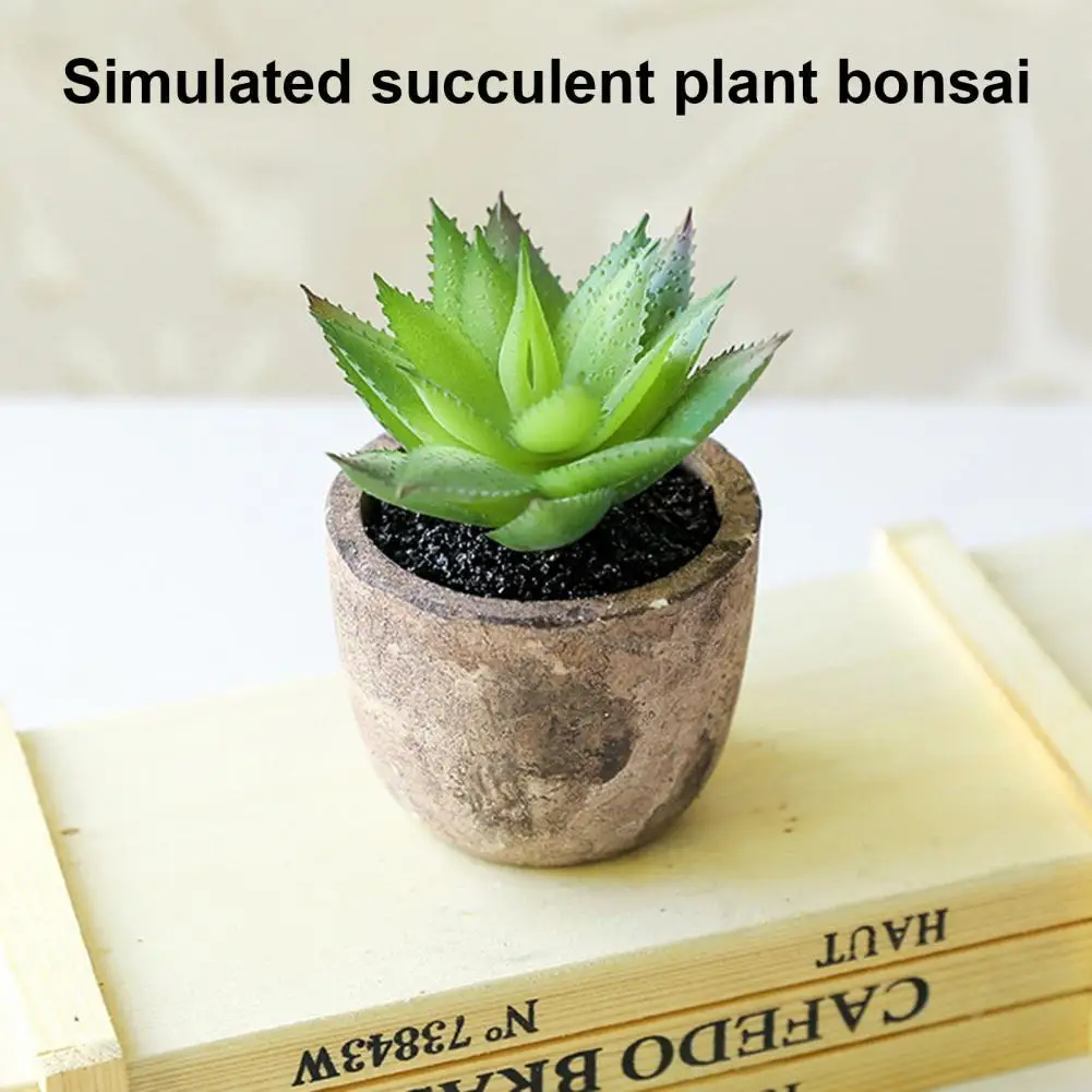 Fake Plant Pot Real Touch Multi Styles Green Decorative Succulent Artificial Plant Potted Plant Artificial Plant
Fake Plant Pot Real Touch Multi Styles Green Decorative Succulent Artificial Plant Potted Plant Artificial Plant