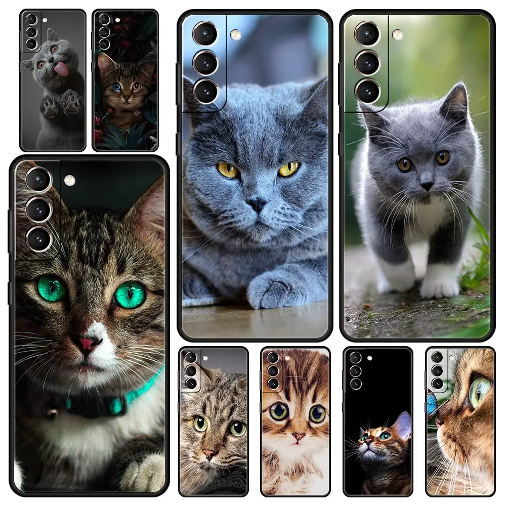 Чехол для телефона из ТПУ с мультяшными милыми кошками для Samsung Galaxy S22 5G S20 Ultra S21 FE S10 S9 Plus S10E S8 Note 10 Lite 20
Чехол для телефона из ТПУ с мультяшными милыми кошками для Samsung Galaxy S22 5G S20 Ultra S21 FE S10 S9 Plus S10E S8 Note 10 Lite 20