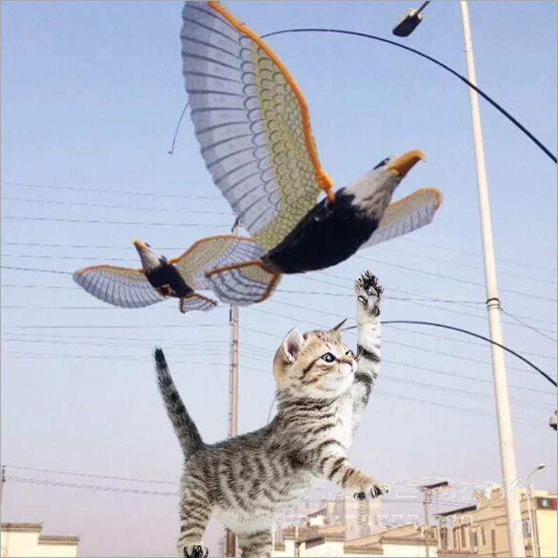 Simulation Bird Cat Toy Interactive Pet Supplies Electric Hanging Eagle Parrot Squeak Toy Luminous Tease Kitten Gatos Accesorios
Simulation Bird Cat Toy Interactive Pet Supplies Electric Hanging Eagle Parrot Squeak Toy Luminous Tease Kitten Gatos Accesorios