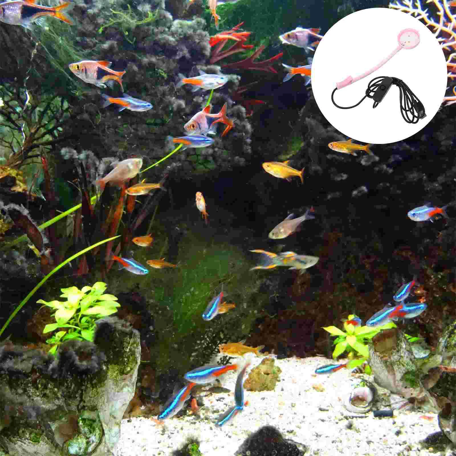 Small Fish Tank Light Flashlight Plantyou Plastic Plantillas Para Cejas
Small Fish Tank Light Flashlight Plantyou Plastic Plantillas Para Cejas