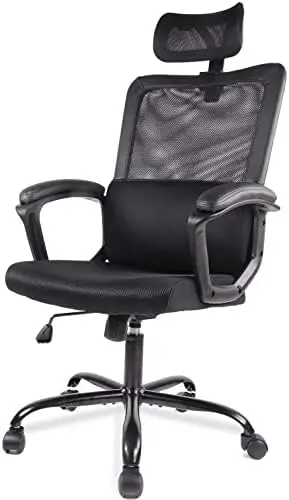 

Chair, Ergonomic Mesh Office Chair High Back Computer Chair with Adjustable Headrest,Lumbar Support, Tilt Function,Swivel Rollin