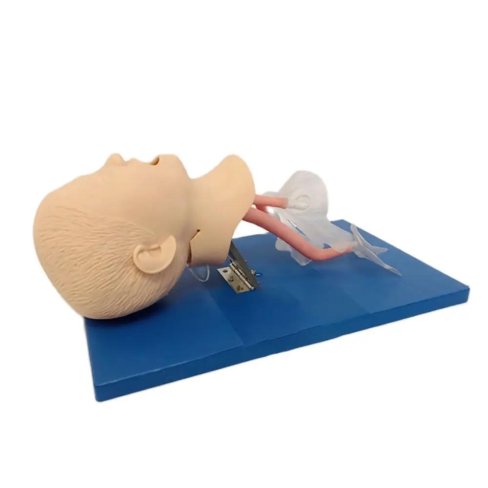 Advanced Children's Tracheal Intubation Training Model First Aid Teaching Demonstration
Advanced Children's Tracheal Intubation Training Model First Aid Teaching Demonstration
