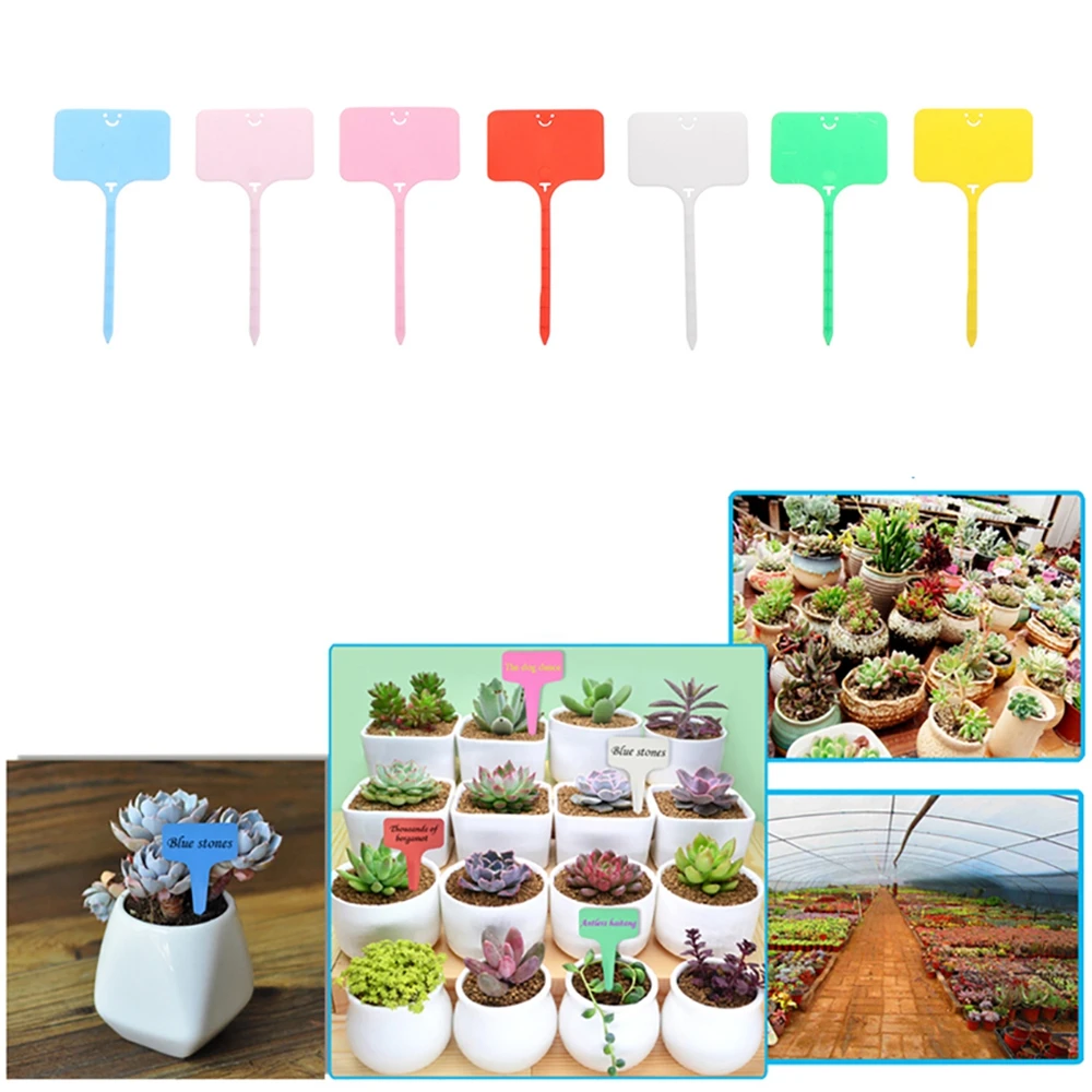 100Pcs Colorful PVC T Shape Garden Plants Labels Flower Flexible Classification Markers Greenhouse Sign Board Seedling Tags 
100Pcs Colorful PVC T Shape Garden Plants Labels Flower Flexible Classification Markers Greenhouse Sign Board Seedling Tags