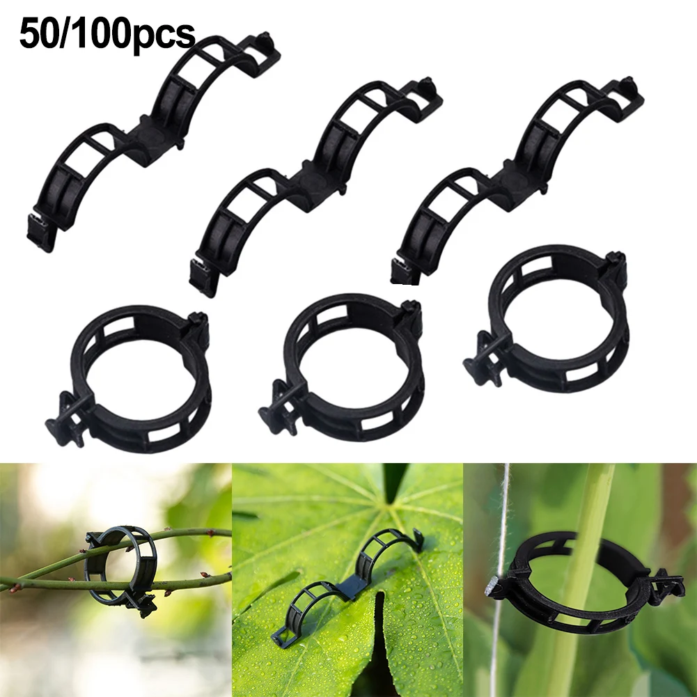 50/100pcs Tomato Cucumbers Plants Fix Vines Clips Garden Plant Holder Tools Garden Decorations Plant Climbing Wall Clips
50/100pcs Tomato Cucumbers Plants Fix Vines Clips Garden Plant Holder Tools Garden Decorations Plant Climbing Wall Clips