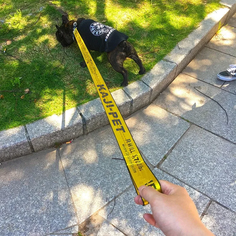 Роскошный нейлоновый поводок для собак 3,5 см, комплект ошейников 1,5 м, модный неоновый ошейник для маленьких собак, аксессуары для собак на с...
Роскошный нейлоновый поводок для собак 3,5 см, комплект ошейников 1,5 м, модный неоновый ошейник для маленьких собак, аксессуары для собак на с...