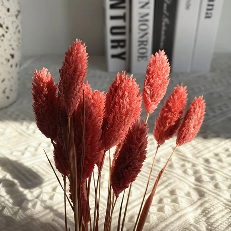 50PCS Gem Grass Dried Flowers Bouquet High Quality Artificial Flowers Home Decor Items With Free Shipping Christmas Supplies
50PCS Gem Grass Dried Flowers Bouquet High Quality Artificial Flowers Home Decor Items With Free Shipping Christmas Supplies