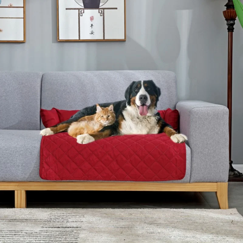 Waterproof Pet Dog Bed Sofa Cover Cushion Pet Bed Kennel Sofa Cushion Sleeping Mat for Large Dog Pet Cushion with Neck Bolster
Waterproof Pet Dog Bed Sofa Cover Cushion Pet Bed Kennel Sofa Cushion Sleeping Mat for Large Dog Pet Cushion with Neck Bolster