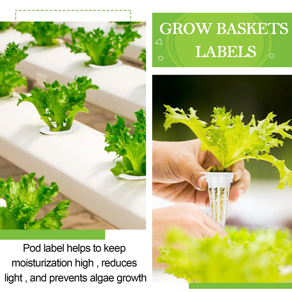Planting Baskets With Sunshade Stickers For Aerogarden Plant-Hydroponics Soilless Grow Greenhouse Garden Plant Basket 100pcs
Planting Baskets With Sunshade Stickers For Aerogarden Plant-Hydroponics Soilless Grow Greenhouse Garden Plant Basket 100pcs