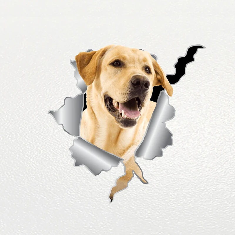 V1102 # Автомобильная наклейка, лабрадор, собака, животное, водонепроницаемая виниловая наклейка, автомобильные аксессуары, Декор, наклейка дл...
V1102 # Автомобильная наклейка, лабрадор, собака, животное, водонепроницаемая виниловая наклейка, автомобильные аксессуары, Декор, наклейка дл...