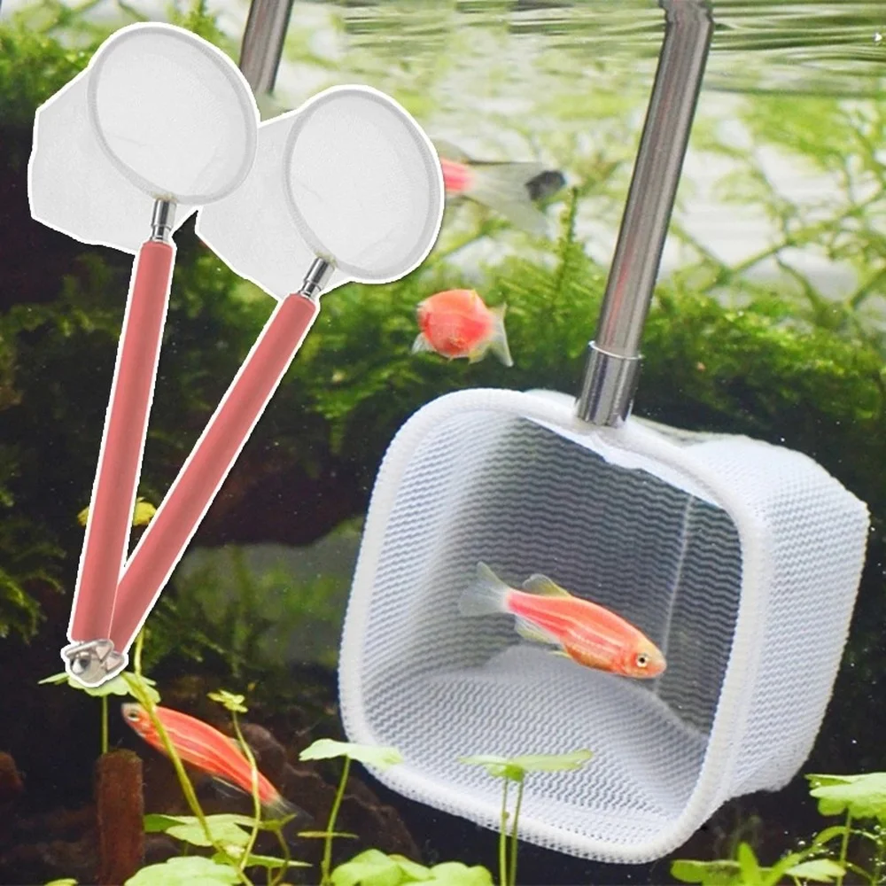 Long Handle Retractable Fishing Net Fish Tank Fishnet Shrimp Net Catching Fish Net Aquarium Net Fish Tank Clean Tools Accessory
Long Handle Retractable Fishing Net Fish Tank Fishnet Shrimp Net Catching Fish Net Aquarium Net Fish Tank Clean Tools Accessory