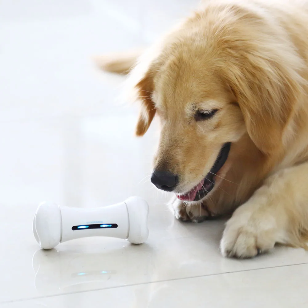Pet Chew Smart Interactive Toys For Dogs And Cats App Control Pet Electric Emotional Interaction Bone Pet Emotions Toy For Dogs
Pet Chew Smart Interactive Toys For Dogs And Cats App Control Pet Electric Emotional Interaction Bone Pet Emotions Toy For Dogs