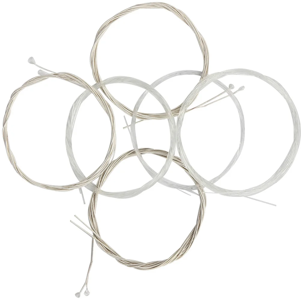 6 Pcs Durable Oud Parts Instrument Accessories Copper Alloy Clear Nylon Plain String Music Musical
6 Pcs Durable Oud Parts Instrument Accessories Copper Alloy Clear Nylon Plain String Music Musical