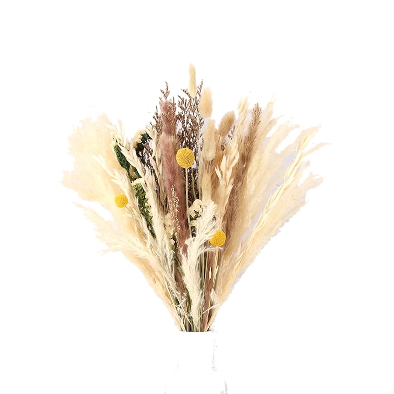 35 Pcs Natural Dried Pampas Grass, Tall Pampas Grass Dried Flowers Plant Bouquet Branches Decor For Boho Farmhouse
35 Pcs Natural Dried Pampas Grass, Tall Pampas Grass Dried Flowers Plant Bouquet Branches Decor For Boho Farmhouse