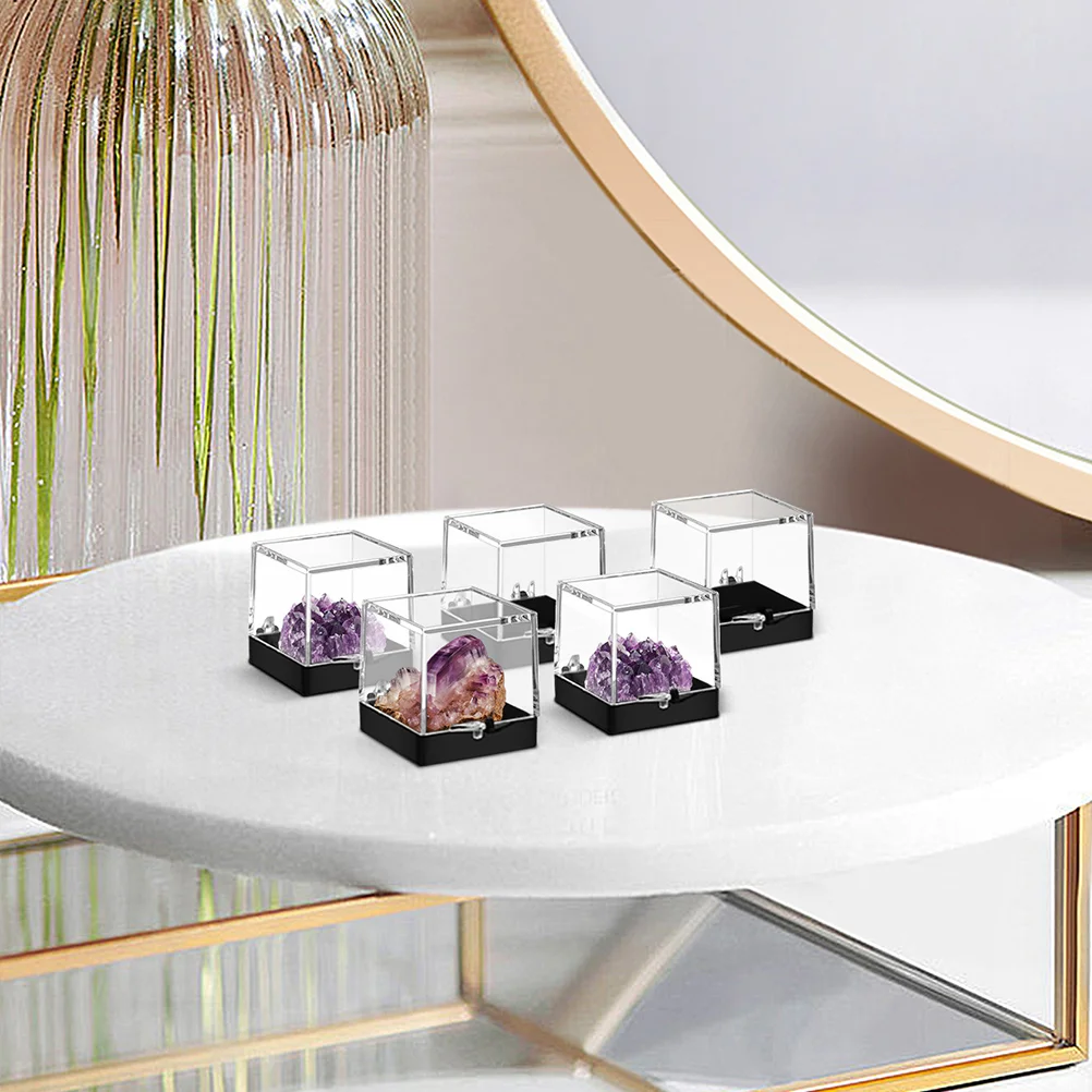6 Pcs Specimen Display Box Organizer Stash Transparent Case Rock Mineral Showcase Stand Plastic Holder
6 Pcs Specimen Display Box Organizer Stash Transparent Case Rock Mineral Showcase Stand Plastic Holder