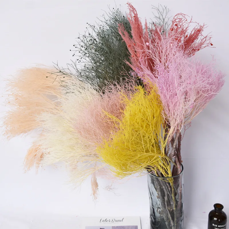 Decorative Preserved Flowers Fantasy Grass,Real Natural Chinese Alpine Rush Dried Eternal Dream Grass,Home Living Room Decor
Decorative Preserved Flowers Fantasy Grass,Real Natural Chinese Alpine Rush Dried Eternal Dream Grass,Home Living Room Decor