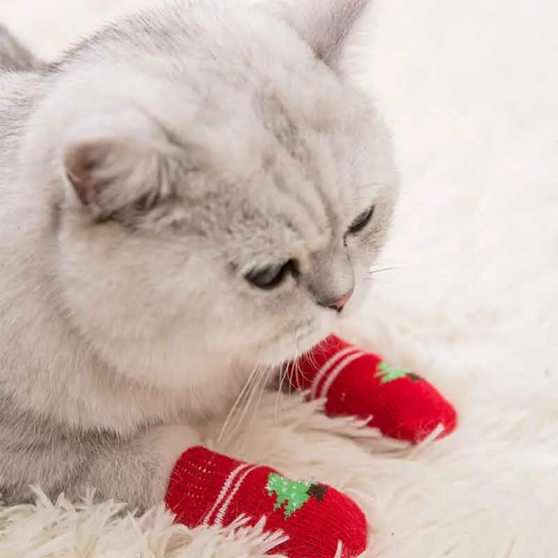 Четыре сезона, обувь для щенков, мягкие носки для домашних животных, милые Мультяшные нескользящие носки для маленьких собак, дышащие товар...
Четыре сезона, обувь для щенков, мягкие носки для домашних животных, милые Мультяшные нескользящие носки для маленьких собак, дышащие товар...