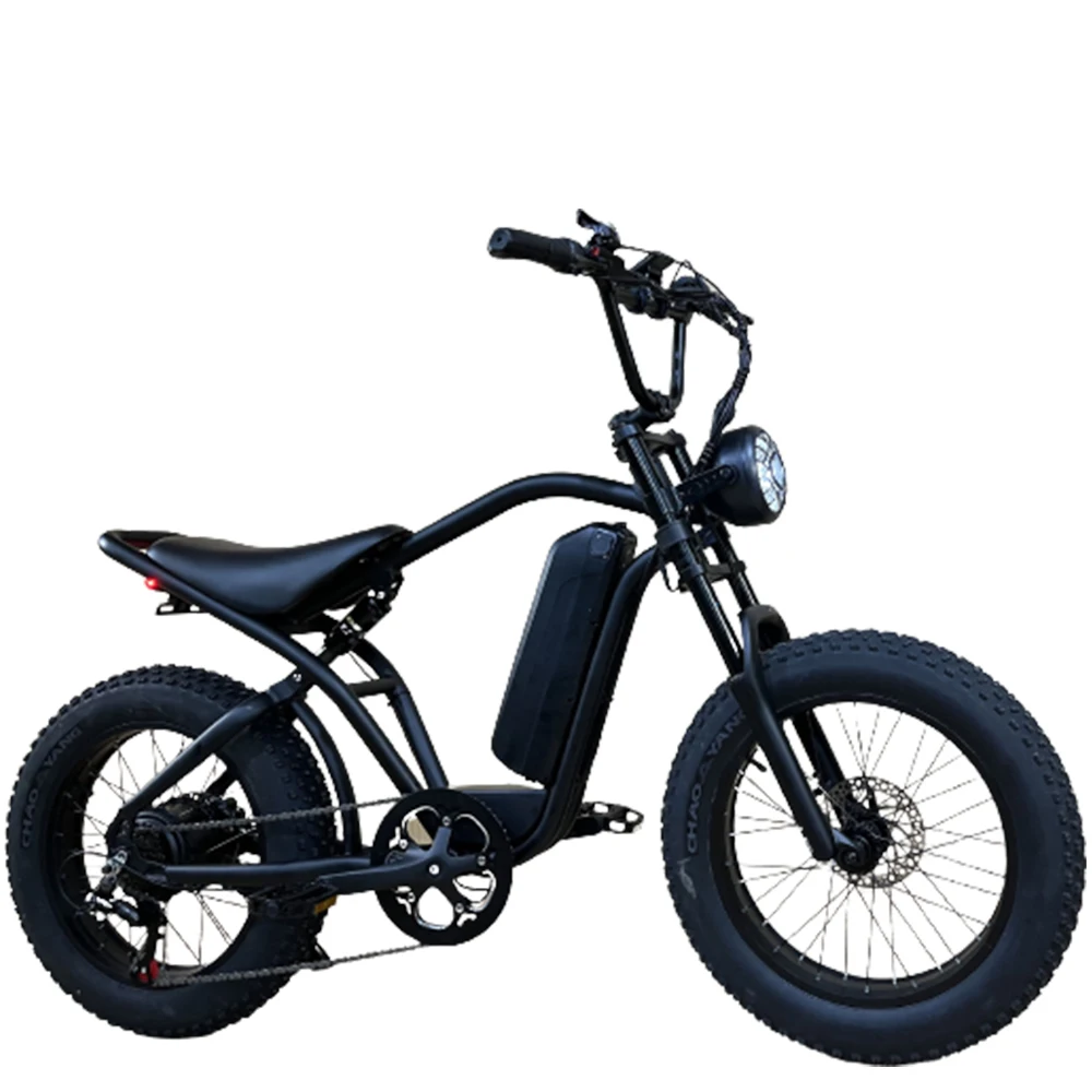 

48V 20Ah Electric Bicycle Electromobile Lithium Battery 20 Inch Damping 1000W Comfort Portable Commuting
