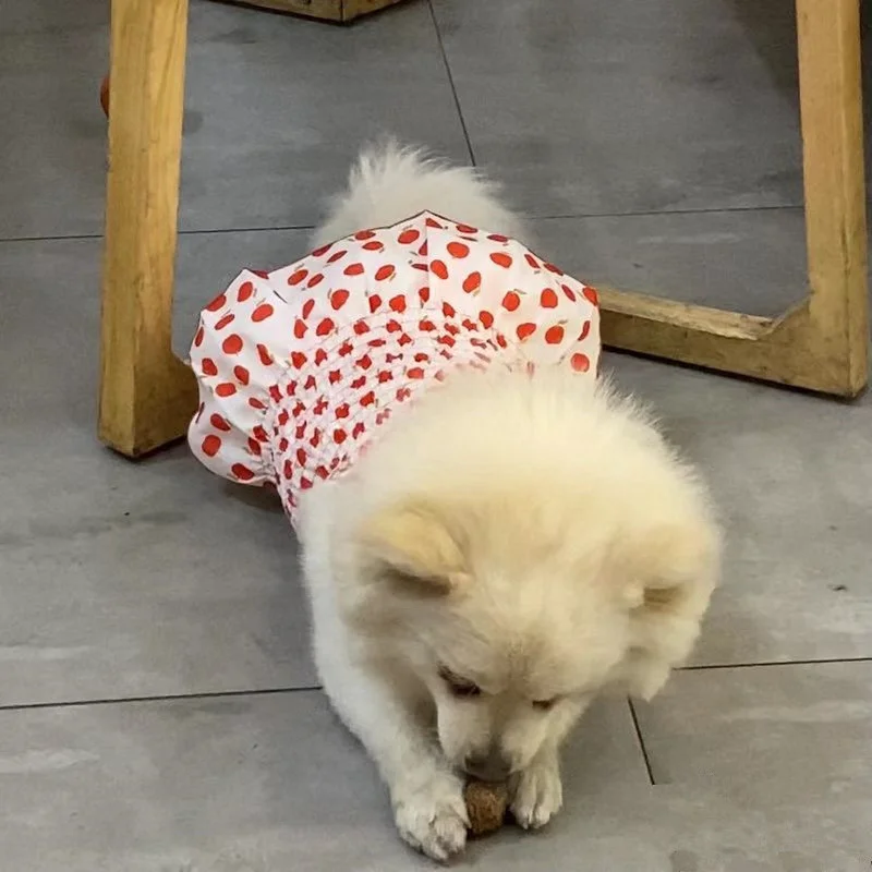 Dogs Clothing Red Apple Dress Pet Dog Clothes Cat Suspenders Sweet Small Chihuahua Summer Yellow Breathable Girl Boy Chihuahua
Dogs Clothing Red Apple Dress Pet Dog Clothes Cat Suspenders Sweet Small Chihuahua Summer Yellow Breathable Girl Boy Chihuahua