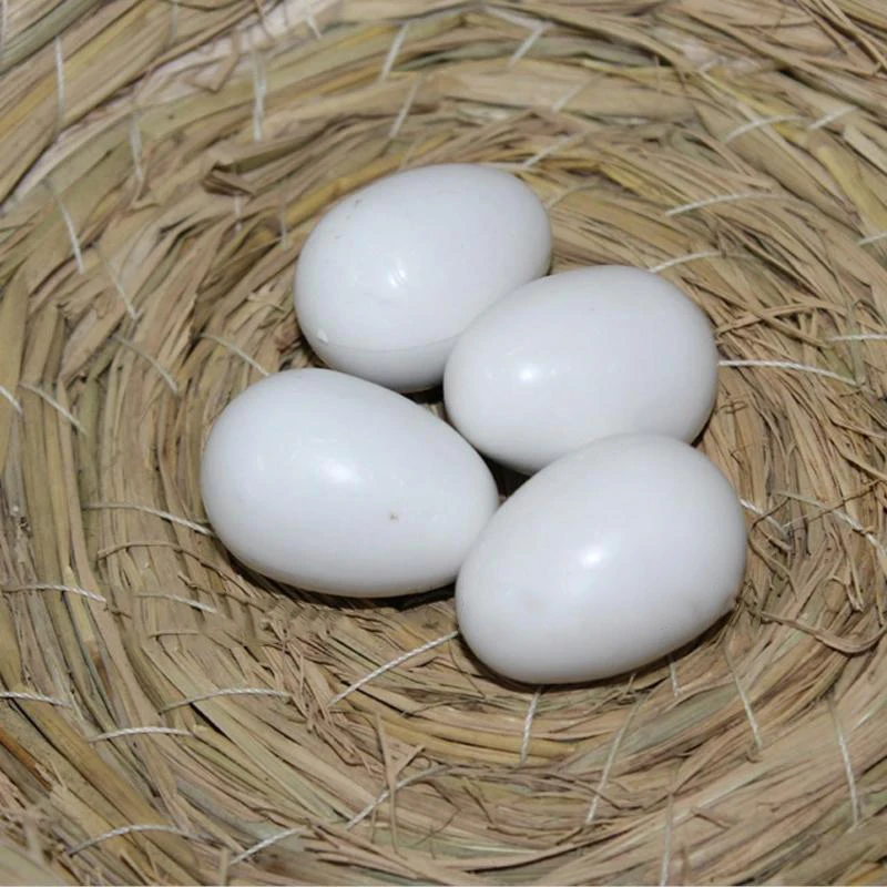 10PCS White Plastic Eggslifelike Simulation Bird Egg Pigeon Quail Fake Egg Easter Kids Gifts Aviculture Tool Nest Hatching Egg
10PCS White Plastic Eggslifelike Simulation Bird Egg Pigeon Quail Fake Egg Easter Kids Gifts Aviculture Tool Nest Hatching Egg