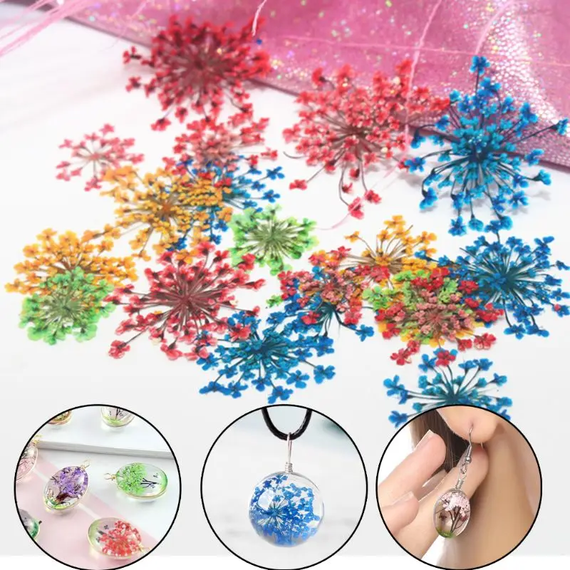 12pcs Pressed Dried Ammi Majus Flowers Plant Herbarium For Jewelry Postcard Invitation Card Phone Case DIY 40GB
12pcs Pressed Dried Ammi Majus Flowers Plant Herbarium For Jewelry Postcard Invitation Card Phone Case DIY 40GB