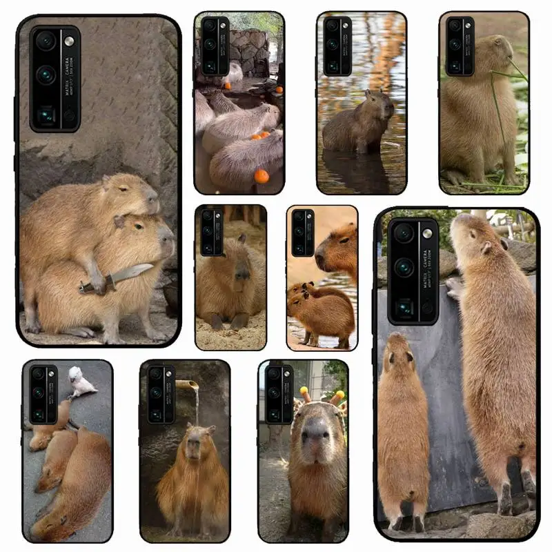 Animal Funny Capybara Bling Phone Case for Huawei Honor 10 i 8X C 5A 20 9 10 30 lite pro Voew 10 20 V30
Animal Funny Capybara Bling Phone Case for Huawei Honor 10 i 8X C 5A 20 9 10 30 lite pro Voew 10 20 V30