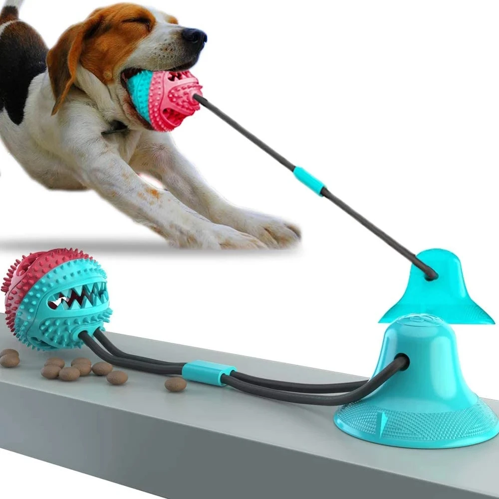 Dog Suction Cup Toy Dog Chew Toy Suction Cup Tooth Brush Rope With Strong Rope Teeth Cleaning Toys Multifuction Pet Interactive
Dog Suction Cup Toy Dog Chew Toy Suction Cup Tooth Brush Rope With Strong Rope Teeth Cleaning Toys Multifuction Pet Interactive
