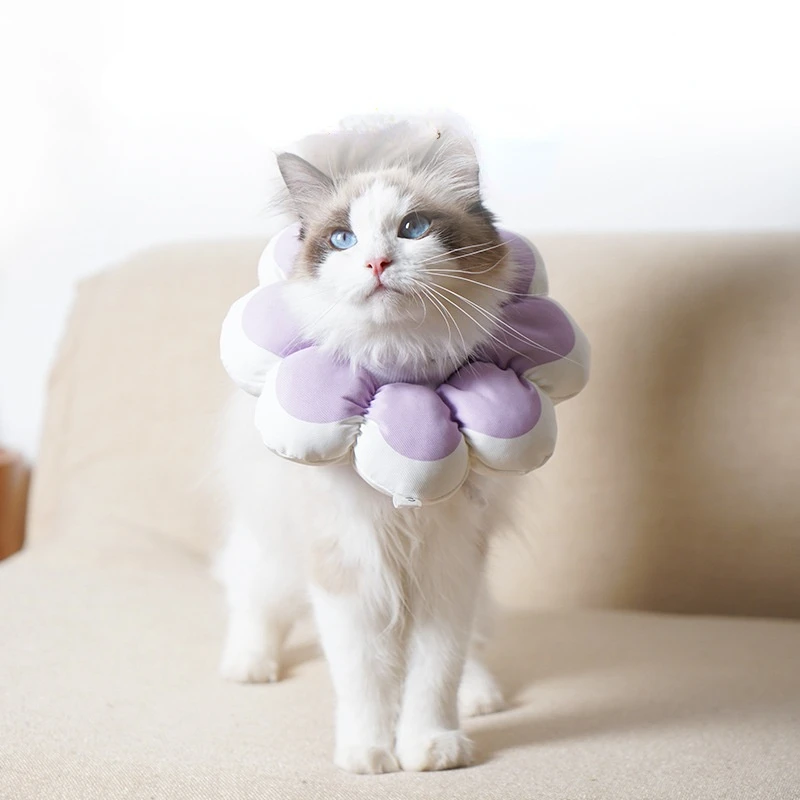 Pet Neck Sleeve Cat Sun Flower Neck Ring Can Adjust The Size of Cat Dog After Sterilization Protection Anti-lick Wound Headgear
Pet Neck Sleeve Cat Sun Flower Neck Ring Can Adjust The Size of Cat Dog After Sterilization Protection Anti-lick Wound Headgear