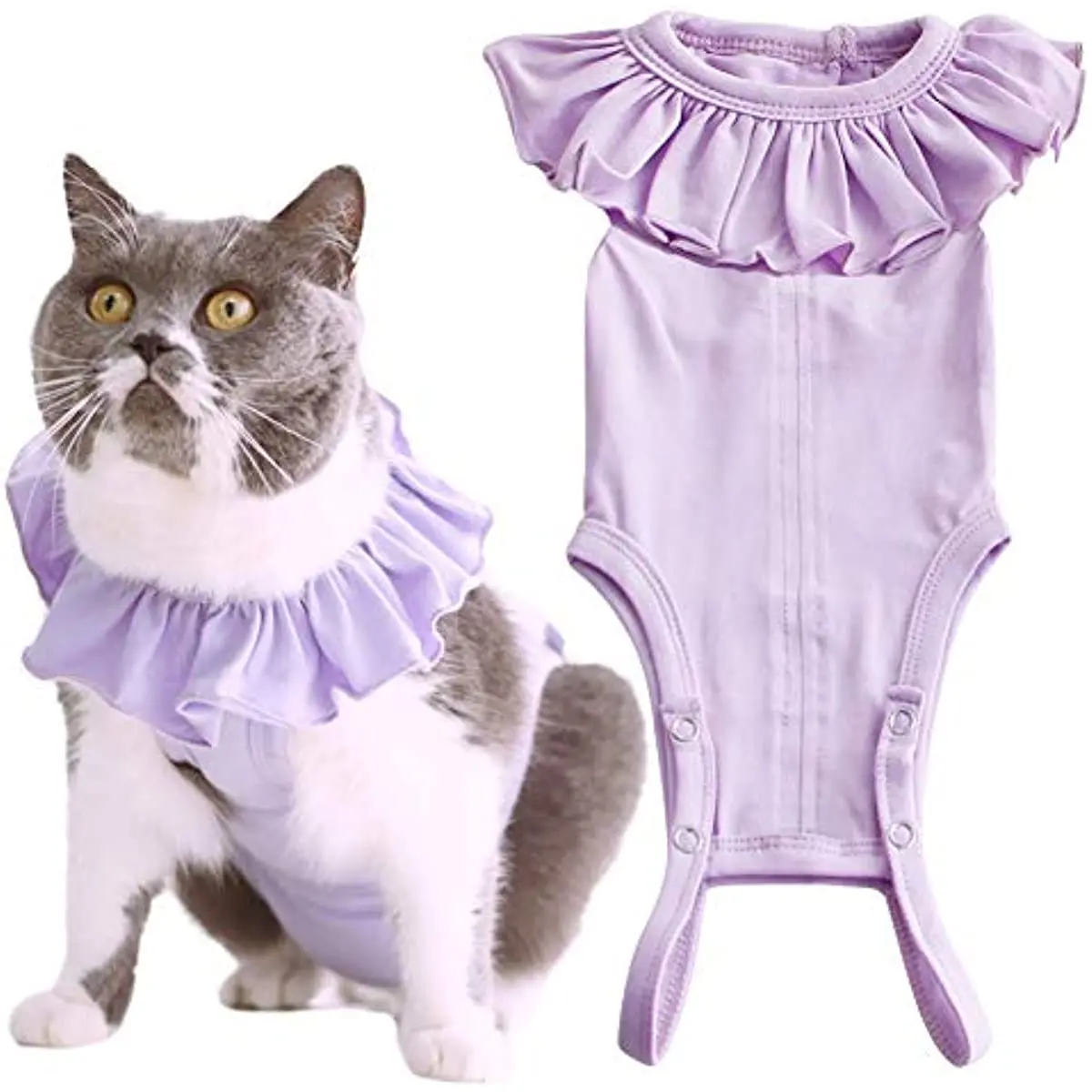 Cat Recovery Suit for Abdominal Wounds Skin Diseases Breathable Surgical Recovery Shirt After Surgery Wear Anti Licking Wounds
Cat Recovery Suit for Abdominal Wounds Skin Diseases Breathable Surgical Recovery Shirt After Surgery Wear Anti Licking Wounds