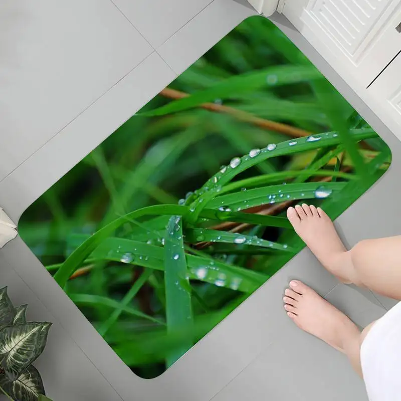 Kitchen Bedroom Carpet Flannel Soft Rug Doormat Floor Indoor Mats Anime Memory Foam Green Grass Prayer Rug Parlor Mat Area Rugs
Kitchen Bedroom Carpet Flannel Soft Rug Doormat Floor Indoor Mats Anime Memory Foam Green Grass Prayer Rug Parlor Mat Area Rugs