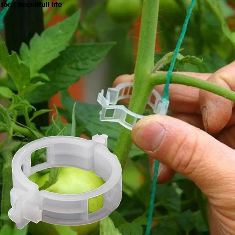 

New 50pcs Plastic Trellis Tomato Clips Supports Connects Plants Vines Trellis Twine Cages Gardening Vegetable Tomato Supplies