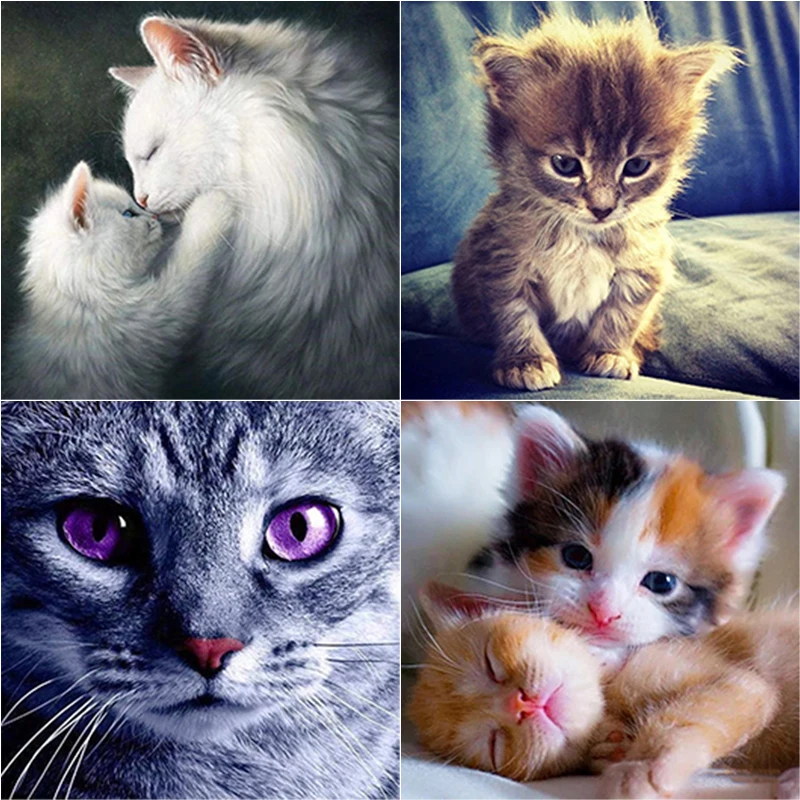 5D DIY Diamond Painting Rhinestone Animal Diamond Embroidery Cat Cross Stitch Full Round Square Drill Handmade Home Decor Gift
5D DIY Diamond Painting Rhinestone Animal Diamond Embroidery Cat Cross Stitch Full Round Square Drill Handmade Home Decor Gift