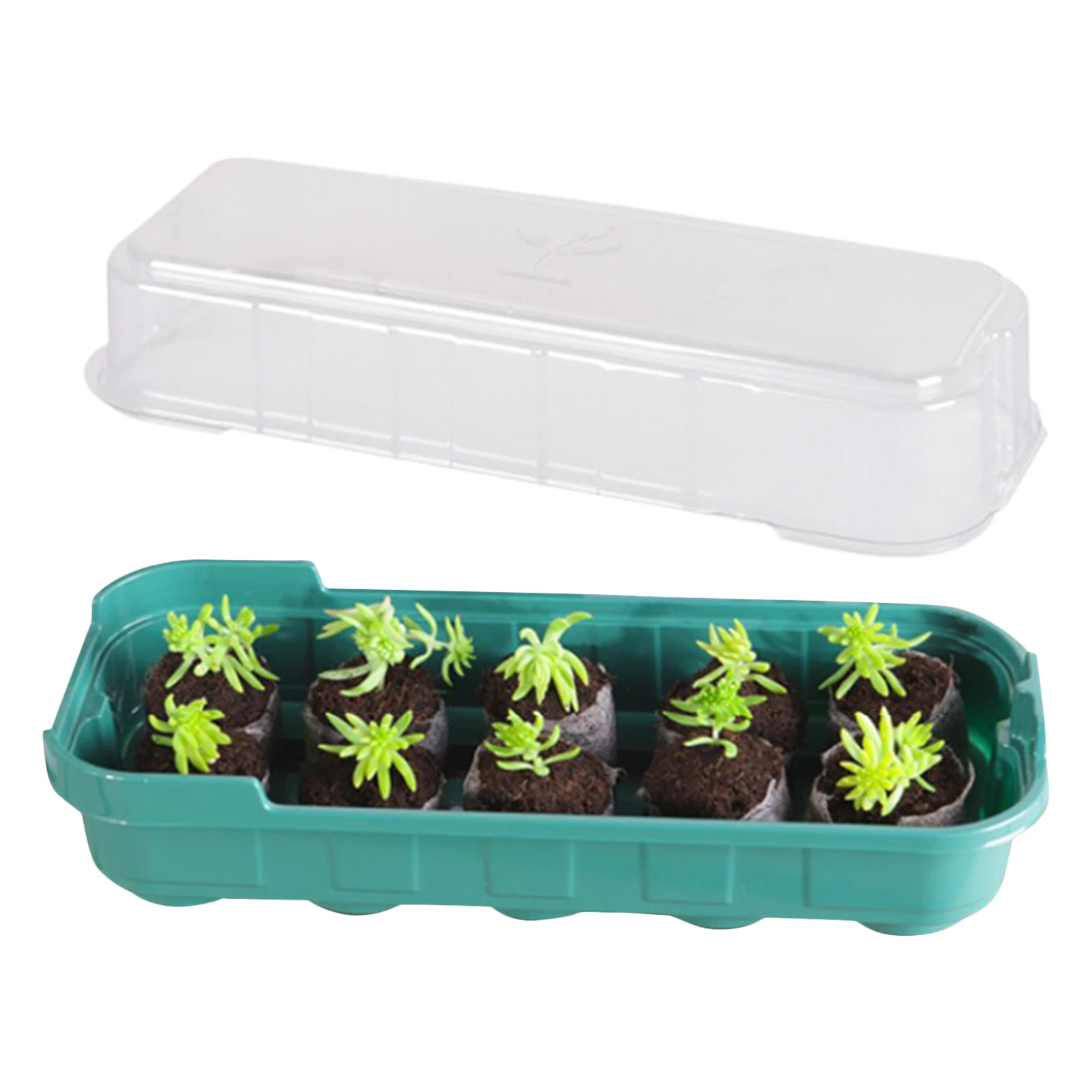 10 Hole Seedling Trays Seed Starter Starter Plant Flower Grow Box Propagation For Gardening Grow Starting Germination Box
10 Hole Seedling Trays Seed Starter Starter Plant Flower Grow Box Propagation For Gardening Grow Starting Germination Box