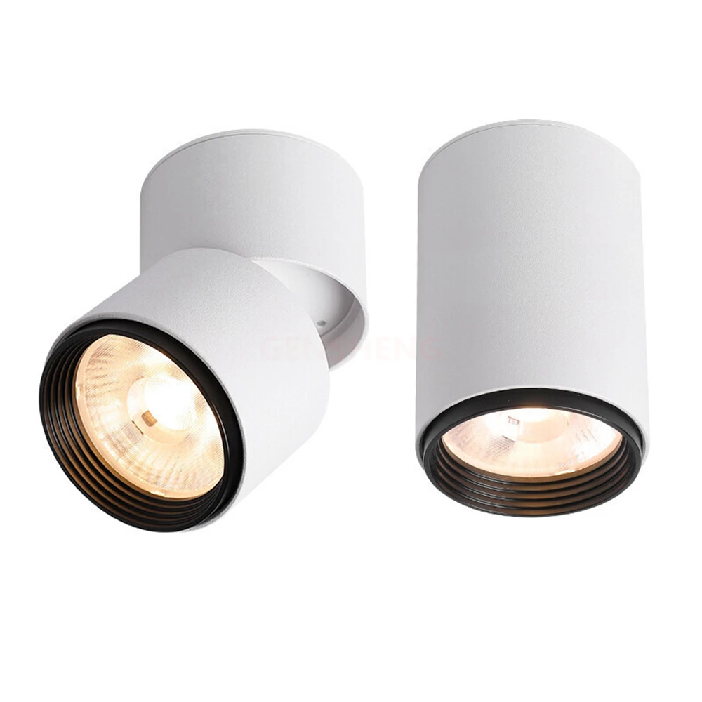 LED Spotlight Dimmable Folding Downlight White Black 7W9W12W15W Indoor Lighting Home Decor Living LED ceiling Lamps Spot Lights
LED Spotlight Dimmable Folding Downlight White Black 7W9W12W15W Indoor Lighting Home Decor Living LED ceiling Lamps Spot Lights