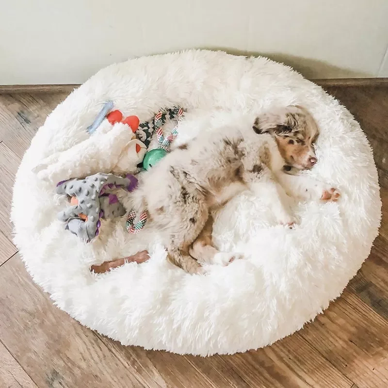 Dog Bed Long Plush Dount Basket Calming Cat Beds Hondenmand Pet Kennel House Soft Fluffy Cushion Sleeping Bag Mat for Large Dogs
Dog Bed Long Plush Dount Basket Calming Cat Beds Hondenmand Pet Kennel House Soft Fluffy Cushion Sleeping Bag Mat for Large Dogs