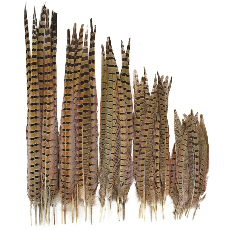 Natural Ringneck Pheasant Feathers for Crafts on The Head Extensions Hair Long Feather Decor DIY Carnival accessories Decoration
Natural Ringneck Pheasant Feathers for Crafts on The Head Extensions Hair Long Feather Decor DIY Carnival accessories Decoration