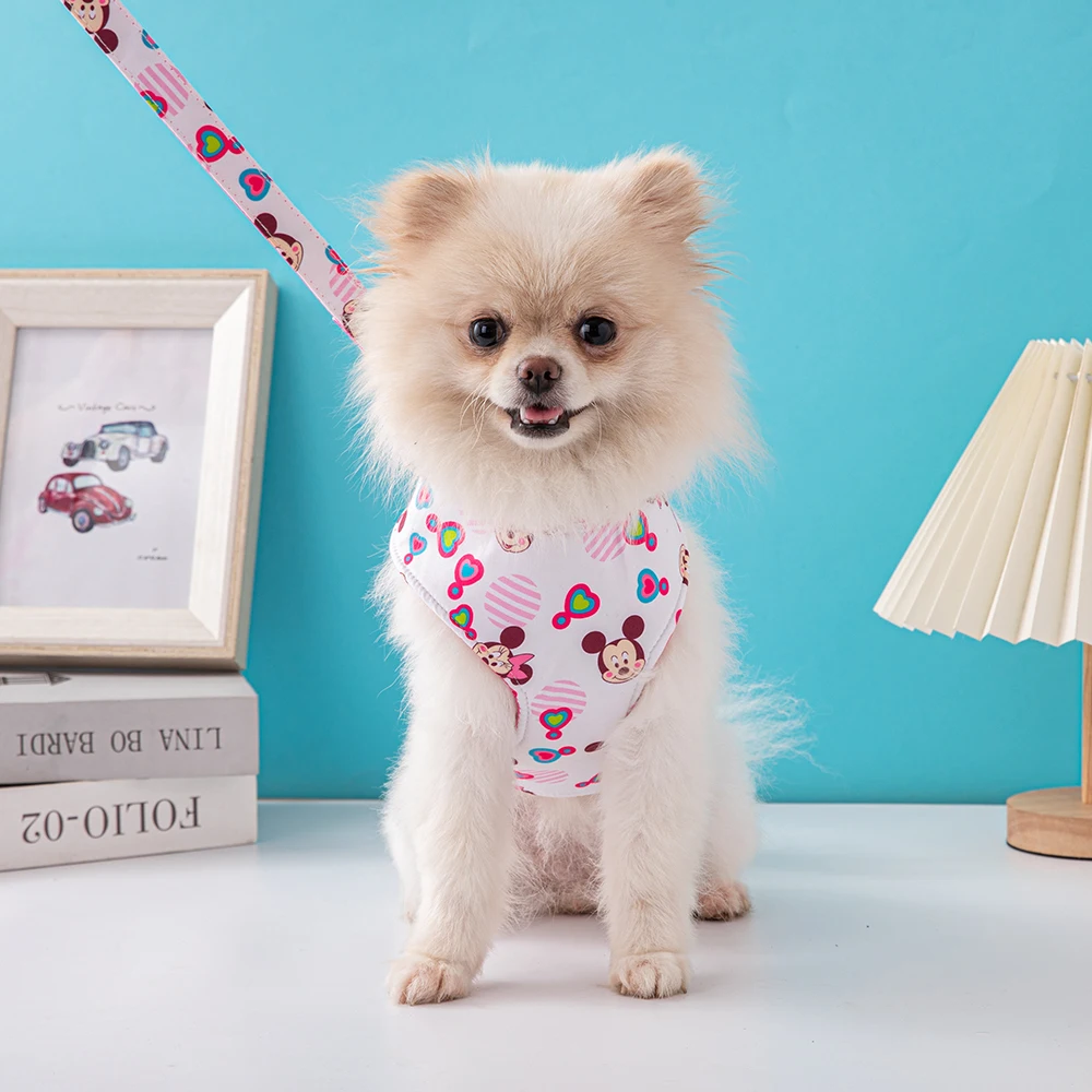Disney Dog Accessories for Small Dogs Dog Harness Dog Collar Chihuahua Dogs Harness and Leash for Walking Dog Walking
Disney Dog Accessories for Small Dogs Dog Harness Dog Collar Chihuahua Dogs Harness and Leash for Walking Dog Walking