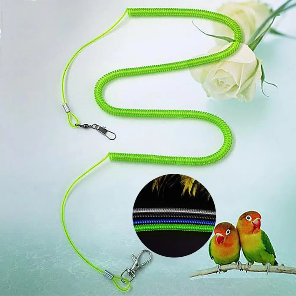 Parrot Bird Leash Flying Training Rope Straps Parrot Cockatiels Starling Budgie
Parrot Bird Leash Flying Training Rope Straps Parrot Cockatiels Starling Budgie