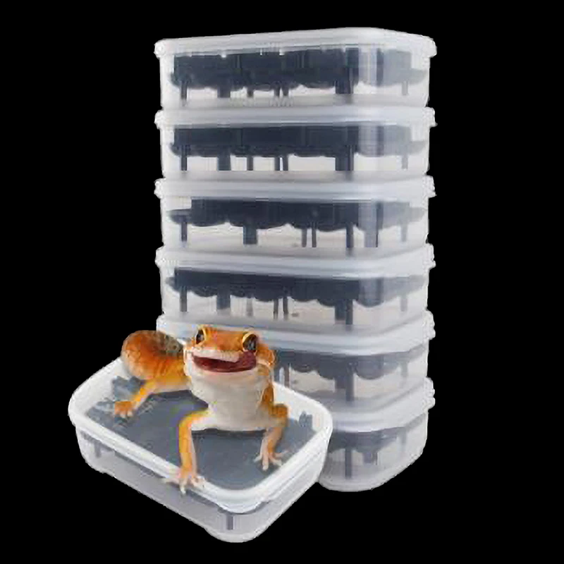 1Pc Crawler Pet Breeding Box Hatchery Box Suitable for Snake Lizards Lions Mane Reptiles with Thermometer
1Pc Crawler Pet Breeding Box Hatchery Box Suitable for Snake Lizards Lions Mane Reptiles with Thermometer