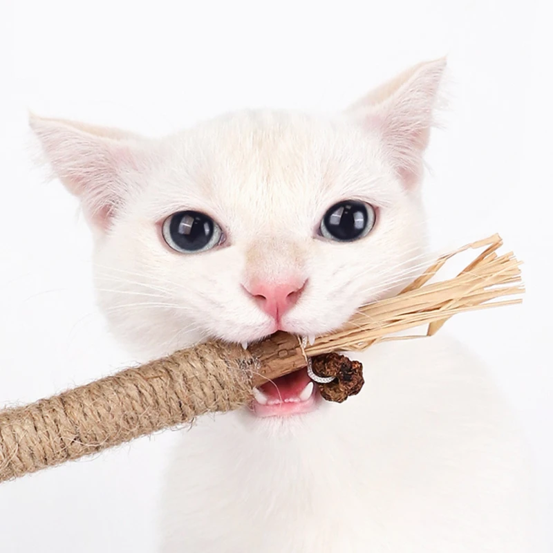Wooden Polygonum Molars 3 Pcs/set Pet Biting Toys Lafite Grass Creative Tootah Grinding Stick Solid Color Cat Chew Toys Supplies
Wooden Polygonum Molars 3 Pcs/set Pet Biting Toys Lafite Grass Creative Tootah Grinding Stick Solid Color Cat Chew Toys Supplies
