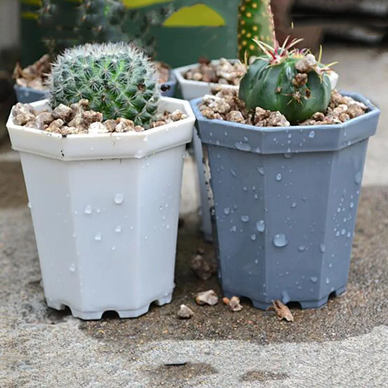 Plastic Square garden plant Flower Succulents Pots herb Home Garden planter Office Desk table Pot fashion Gardening Dec
Plastic Square garden plant Flower Succulents Pots herb Home Garden planter Office Desk table Pot fashion Gardening Dec