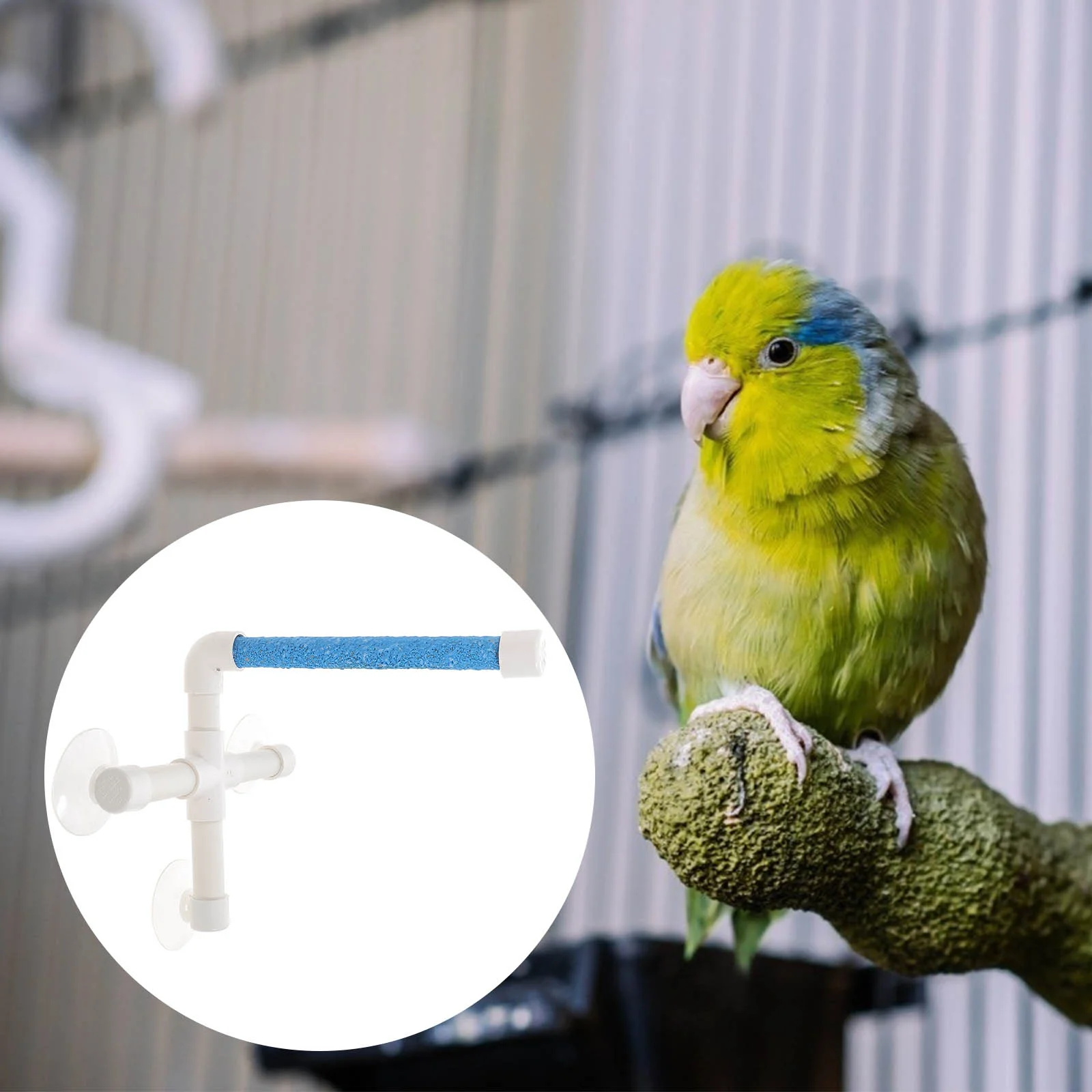 1Pc Bathing Portable Bird Perches Suction Cup Stand Paw Grinding Stand Holder
1Pc Bathing Portable Bird Perches Suction Cup Stand Paw Grinding Stand Holder