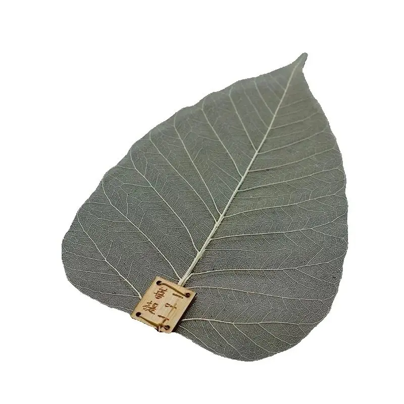 Bodhi Leaf Чайный утечка Zen Натуральный листовой фильтр Чайный фильтр Аксессуары для чайной церемонии Ситечко Закладка
Bodhi Leaf Чайный утечка Zen Натуральный листовой фильтр Чайный фильтр Аксессуары для чайной церемонии Ситечко Закладка