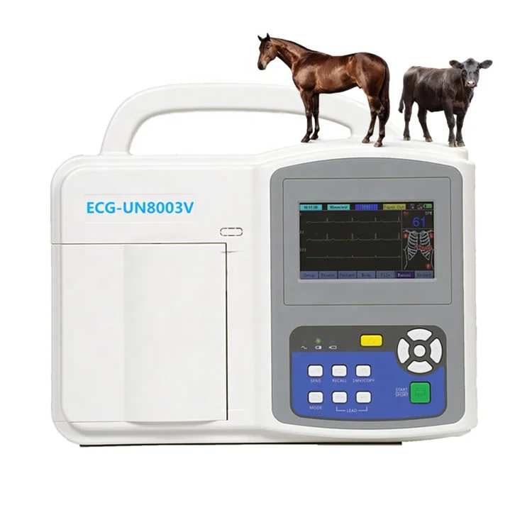 Mini Portable Ekg Watch 3 Channels 12 Channel Neonatal Electrodes Ecg Machine With Factory Prices
Mini Portable Ekg Watch 3 Channels 12 Channel Neonatal Electrodes Ecg Machine With Factory Prices