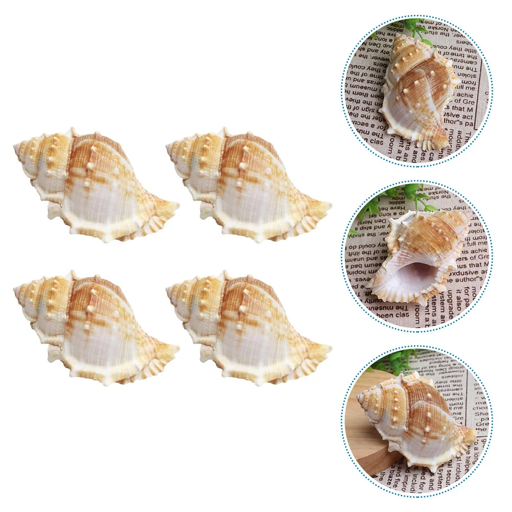 Conch Sea Shell Ornaments Scallop Animal Seashells Figurine Nautical Decor Rose Petals Black Aquarium Shells Style Ornament
Conch Sea Shell Ornaments Scallop Animal Seashells Figurine Nautical Decor Rose Petals Black Aquarium Shells Style Ornament