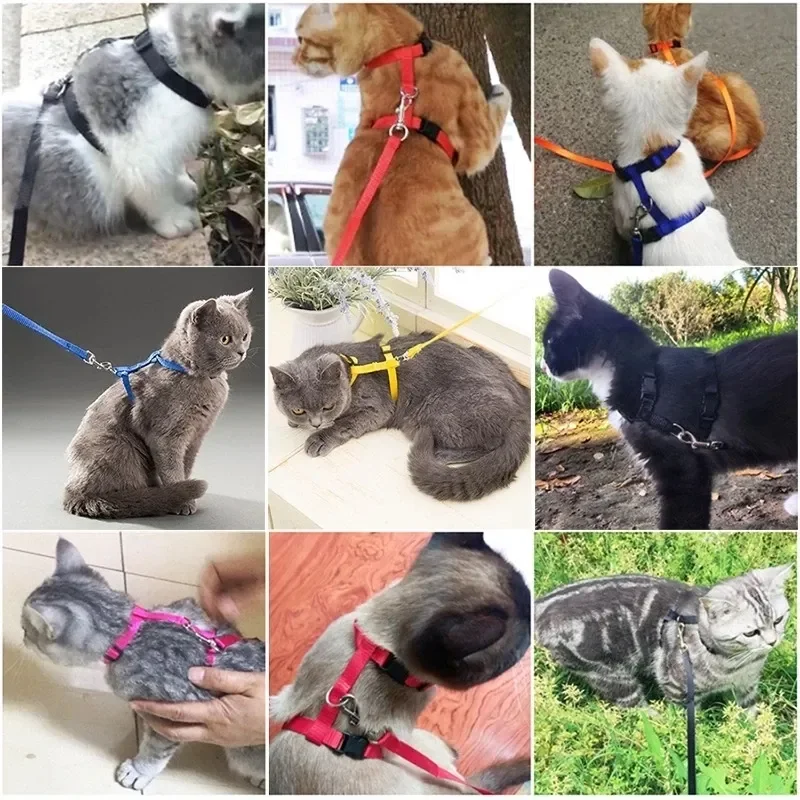 

2023New Adjustable Pet Cat Collar For Cats Cozy Nylon Rabbit Kitten Kedi Harness Leash Set Dog Cat Accessories Products For Pets