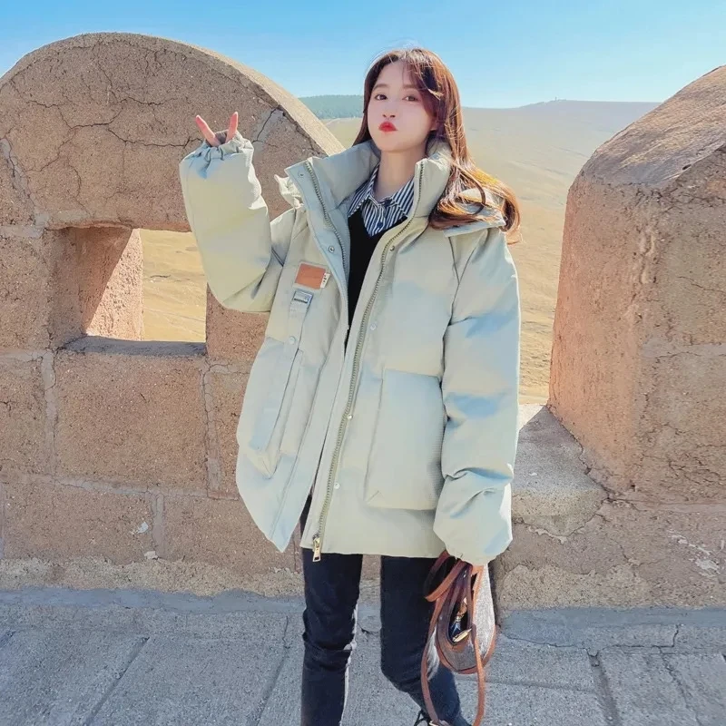 Down Cotton Jacket Women Autumn Winter 2023 New Solid Color Long Cotton Coat Fashion Casual Loose Hooded Parkas Womens
Down Cotton Jacket Women Autumn Winter 2023 New Solid Color Long Cotton Coat Fashion Casual Loose Hooded Parkas Womens