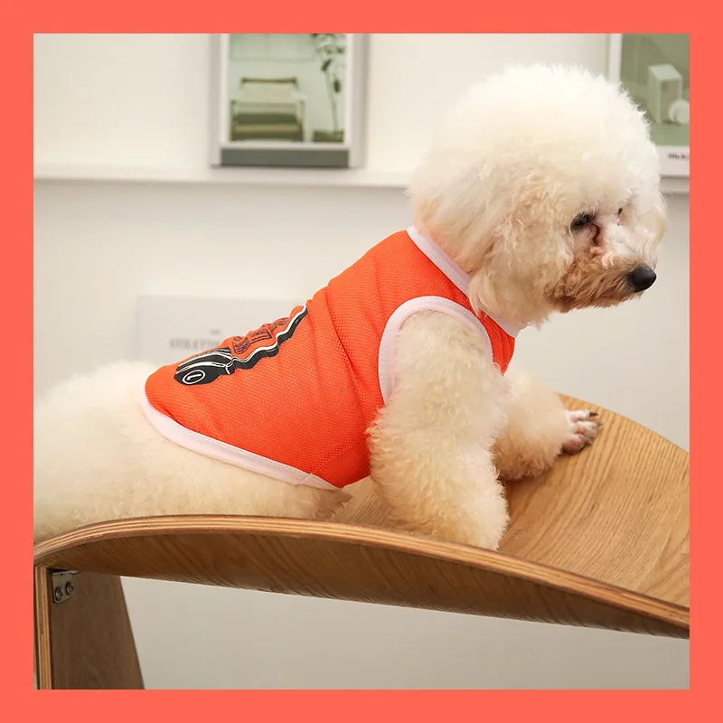 1pc Pet Dog Clothes Summer Mesh Vest Simplicity Fashion Breathable Sports Clothes for Puppy and Medium-sized Dogs
1pc Pet Dog Clothes Summer Mesh Vest Simplicity Fashion Breathable Sports Clothes for Puppy and Medium-sized Dogs